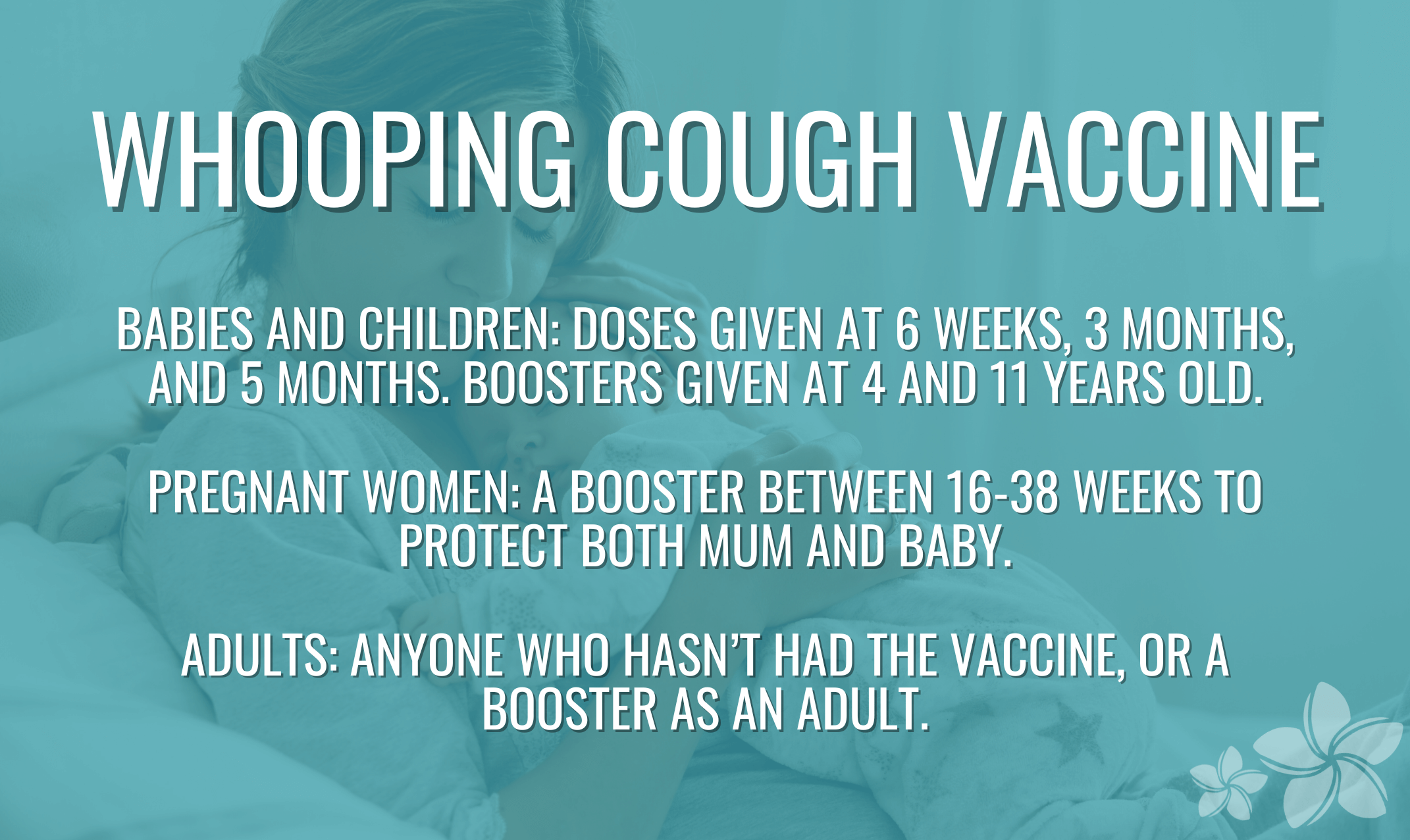 Whooping cough vaccine
Babies and children: doses given at 6 weeks, 3 months and 5 months. Boosters given at 4 and 11 years old.
Pregnant women: a booster between 16-38 weeks to protect both mum and baby.
Adults: anyone who hasn’t had the vaccine, or a booster as an adult.