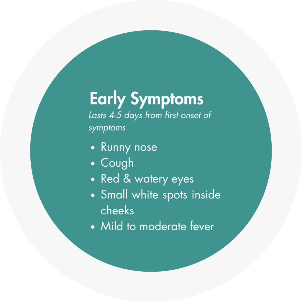 early symptoms: lasts four to five days from first onset of symptoms
Runny nose, cough, red and watery eyes, small white spots inside cheeks, mild to moderate fever