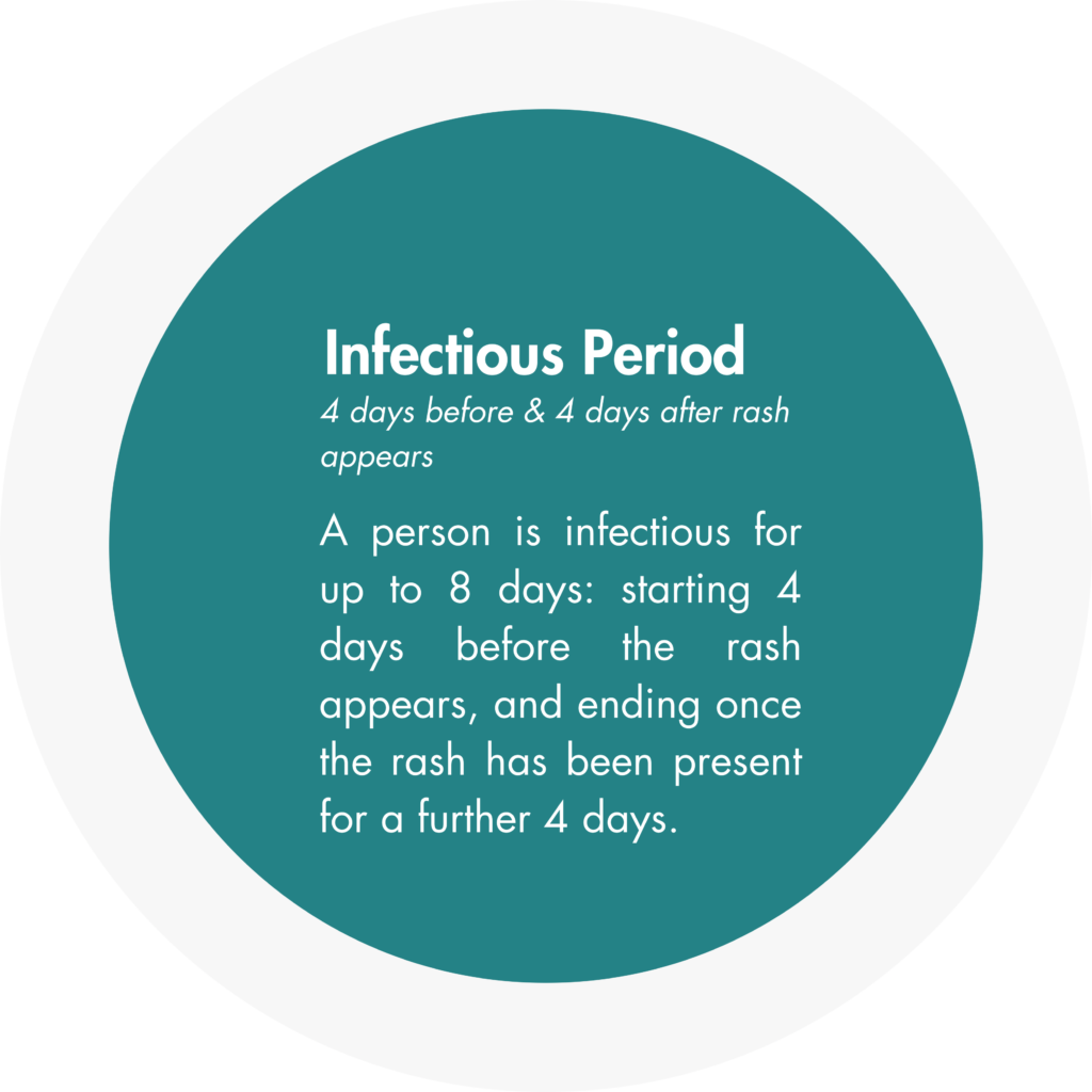 infectious period: four days before and four days after rash appears
A person is infectious for up to eight days: starting four days before the rash appears, and ending once the rash has been present for a further four days