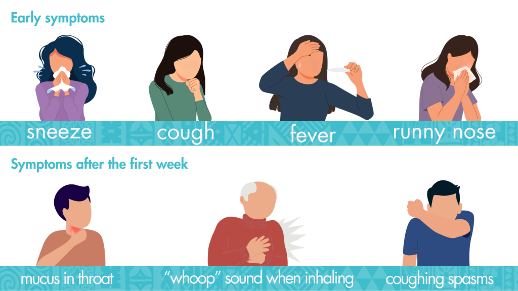 Whooping Cough What You Need To Know To Protect Your Whanau