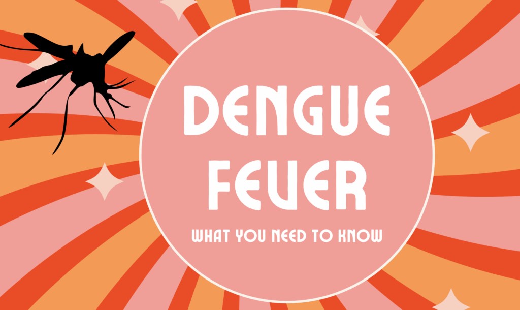 Dengue fever: what you need to know