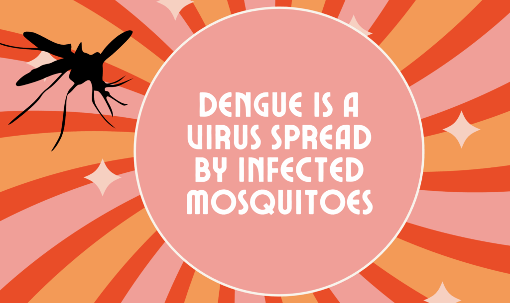 Dengue is a virus spread by infected mosquitoes